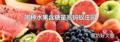 哪种水果含糖量高蚂蚁庄园