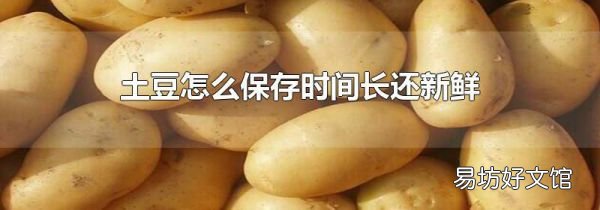 土豆怎么保存时间长还新鲜