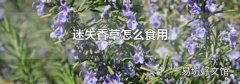迷失香草怎么食用