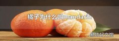 橘子为什么叫mandarin