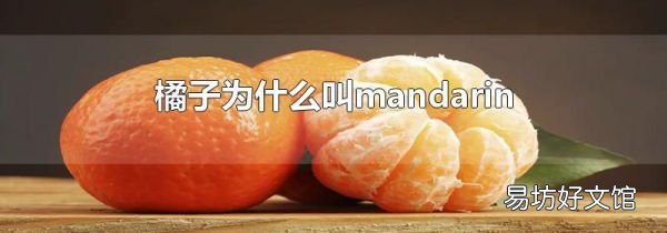 橘子为什么叫mandarin