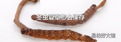 冬虫夏草怎么保存