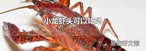小龙虾头可以吃吗