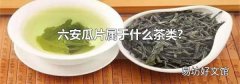 六安瓜片属于什么茶类?