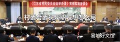 村委会委员履职设想怎么写