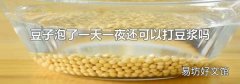 豆子泡了一天一夜还可以打豆浆吗