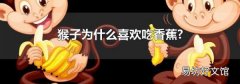 猴子为什么喜欢吃香蕉?