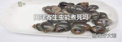 田螺寄生虫能煮死吗