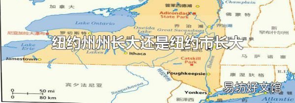 纽约州州长大还是纽约市长大