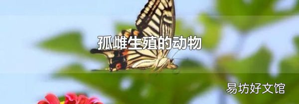 孤雌生殖的动物