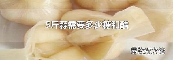 5斤蒜需要多少糖和醋
