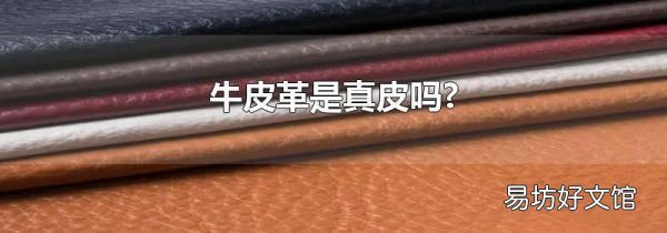 牛皮革是真皮吗?