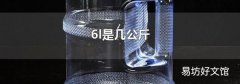 6l是几公斤