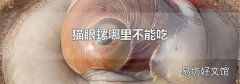 猫眼螺哪里不能吃