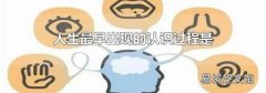 人生最早出现的认识过程是