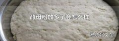 酵母粉放多了会怎么样