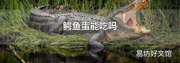 鳄鱼蛋能吃吗