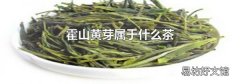 霍山黄芽属于什么茶