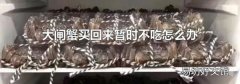 大闸蟹买回来暂时不吃怎么办