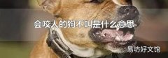 会咬人的狗不叫是什么意思