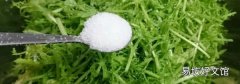 银丝芥菜是苦菊吗