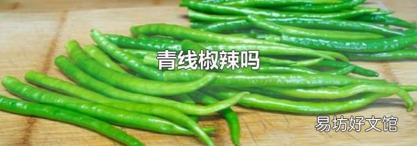 青线椒辣吗