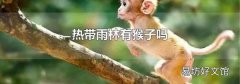 热带雨林有猴子吗
