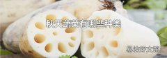 秋天蔬菜有哪些种类