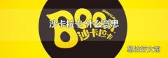 沙卡拉卡 什么意思