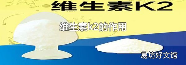 含维生素k2最多的食物