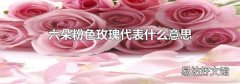六朵粉色玫瑰代表什么意思