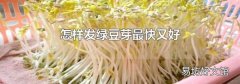 怎样发绿豆芽最快又好