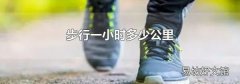 步行一小时多少公里