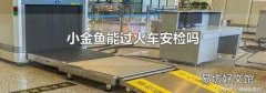 小金鱼能过火车安检吗