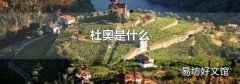 杜奥是什么