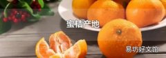 蜜桔产地
