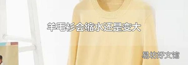 羊毛衫会缩水还是变大