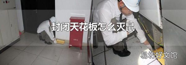 封闭天花板怎么灭鼠