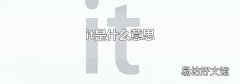 it是什么意思