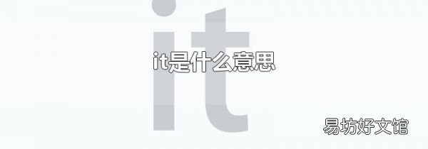 it是什么意思