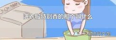 洗衣服特别香的那个叫什么