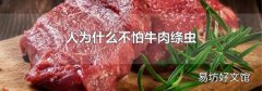人为什么不怕牛肉绦虫