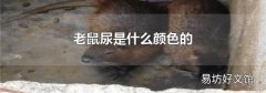 老鼠尿是什么颜色的