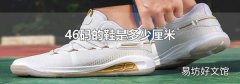 46码的鞋是多少厘米