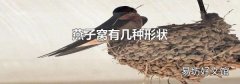 燕子窝有几种形状