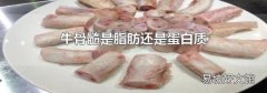 牛骨髓是脂肪还是蛋白质