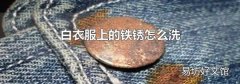 白衣服上的铁锈怎么洗