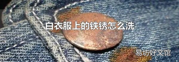 白衣服上的铁锈怎么洗