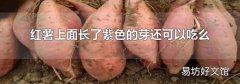 红薯上面长了紫色的芽还可以吃么