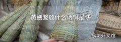 黄鳝笼放什么诱饵最快